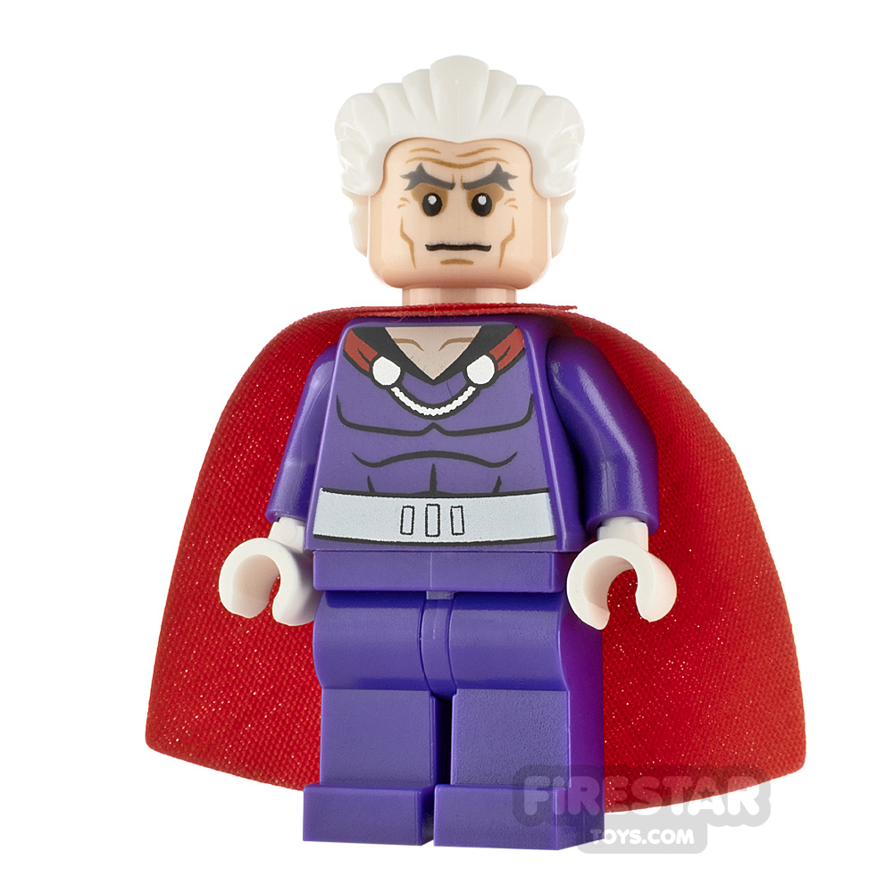 lego minifigure magneto